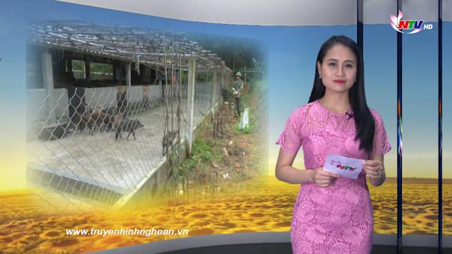 Nghệ An ngày mới - 12/01/2020