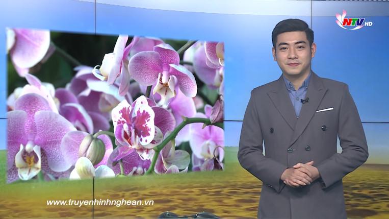 Nghệ An ngày mới – 18/01/2020