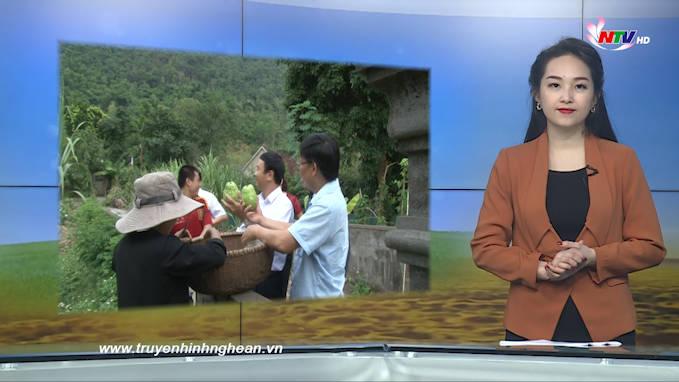 Nghệ An ngày mới - 19/01/2020