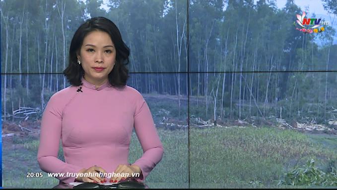 Thời sự Truyền hình - 30/01/2020