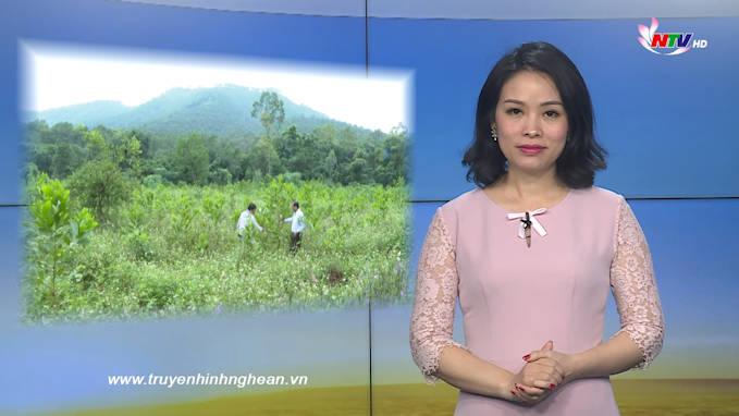 Nghệ An ngày mới - 31/01/2020