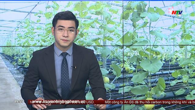 Thời sự Truyền hình - 12/01/2021