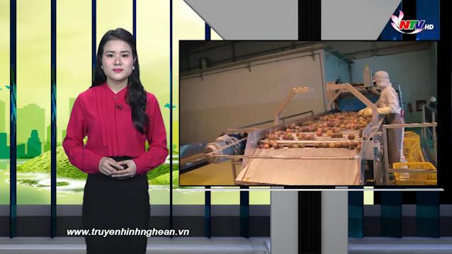 Nghệ An ngày mới - 31/01/2021