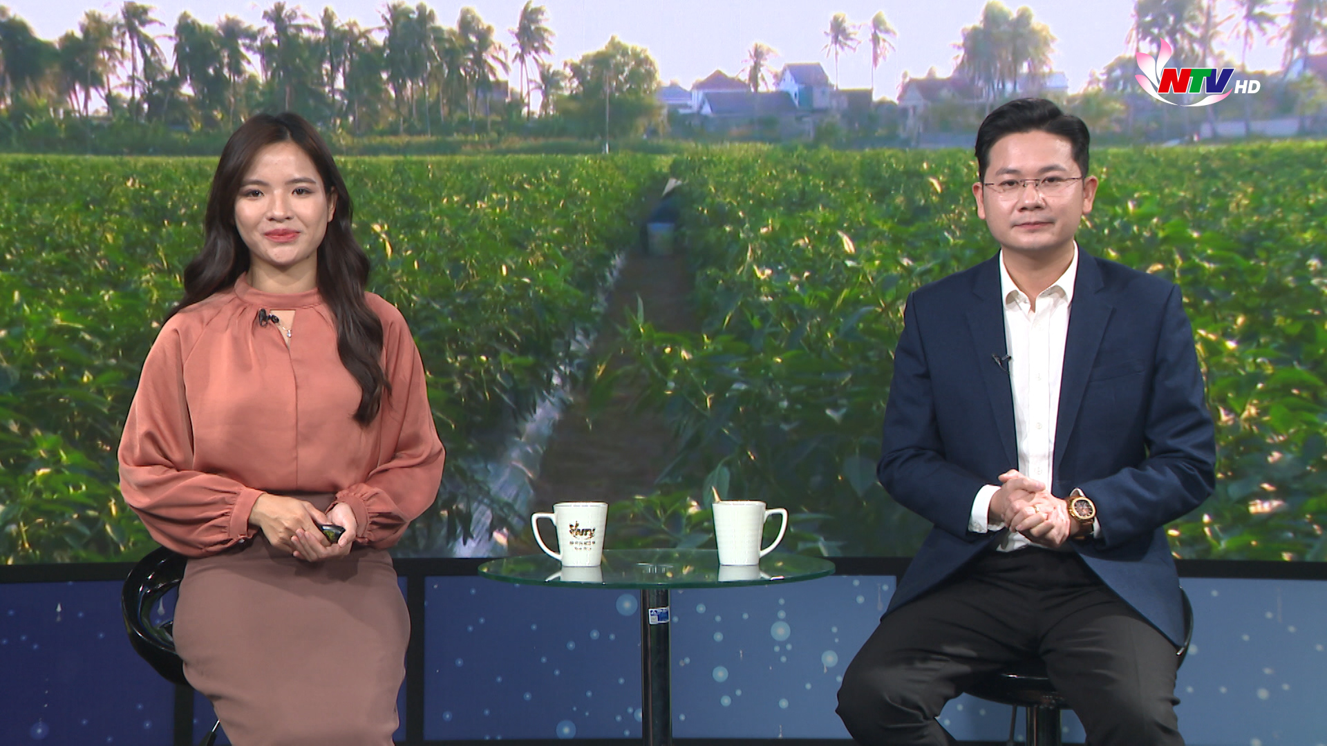 Nghệ An ngày mới - 31/01/2026