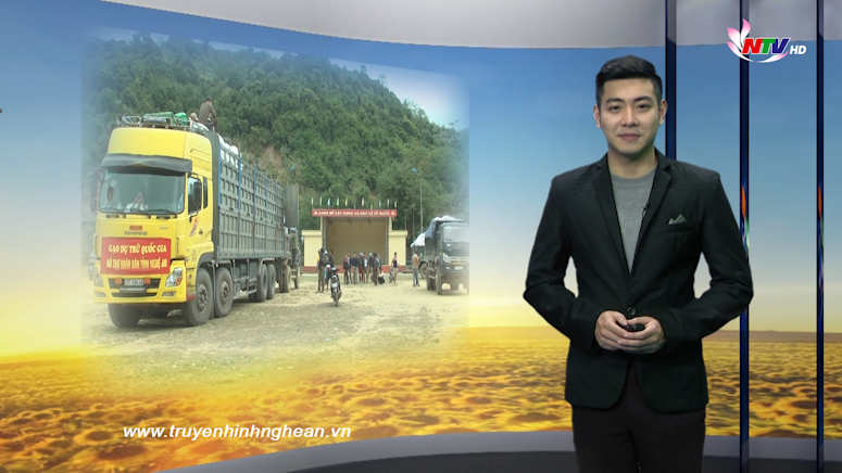 Nghệ An ngày mới - 03/02/2019