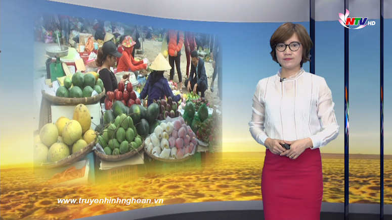 Nghệ An ngày mới - 04/02/2019