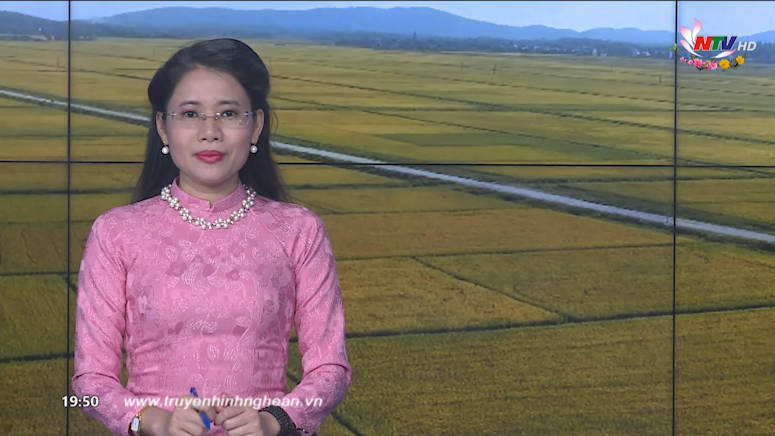 Thời sự Truyền hình - 06/02/2019