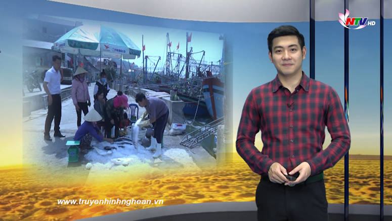 Nghệ An ngày mới - 17/02/2019