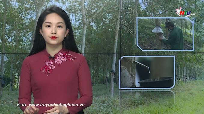 Thời sự Truyền hình - 04/02/2020