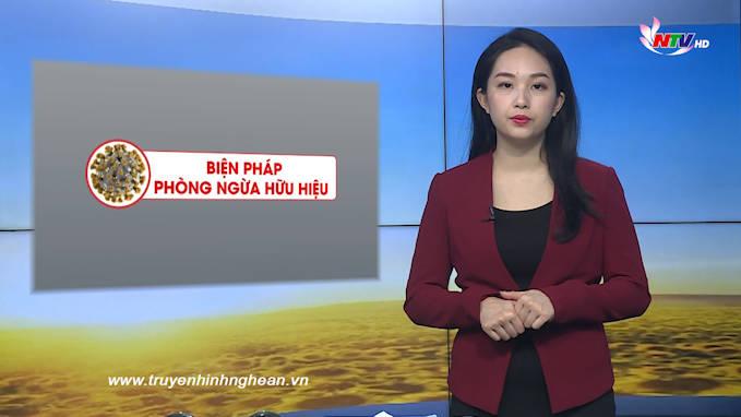 Nghệ An ngày mới - 08/02/2020