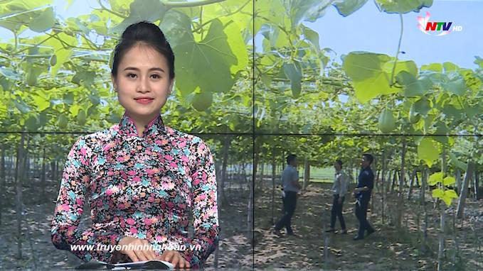 Thời sự Truyền hình - 08/02/2020