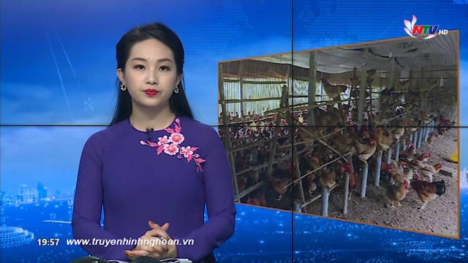 Thời sự Truyền hình - 10/02/2020