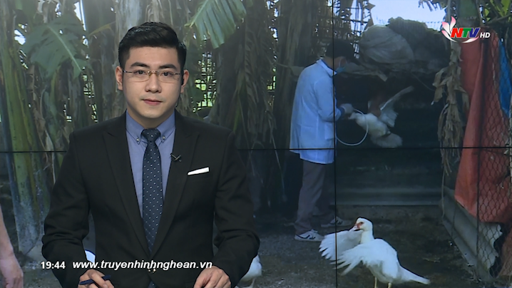 Thời sự Truyền hình - 17/02/2020