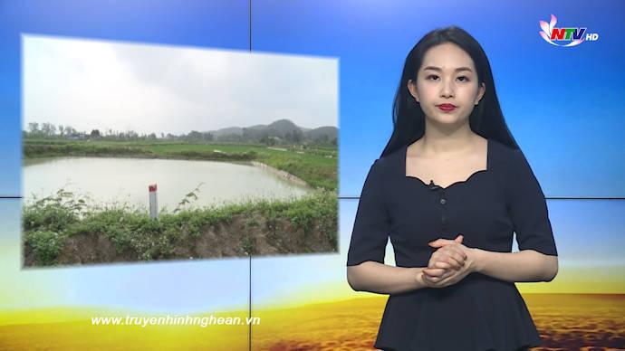 Nghệ An ngày mới - 21/02/2020