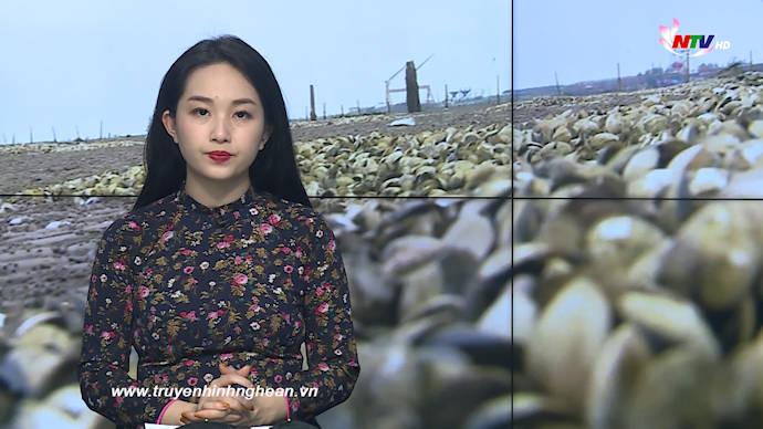 Thời sự Truyền hình - 20/02/2020