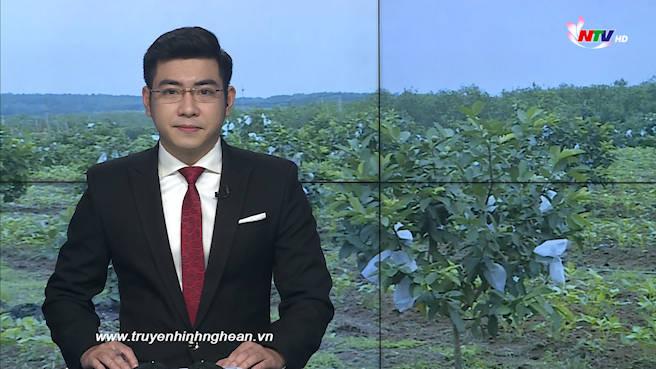 Thời sự Truyền hình - 22/02/2020