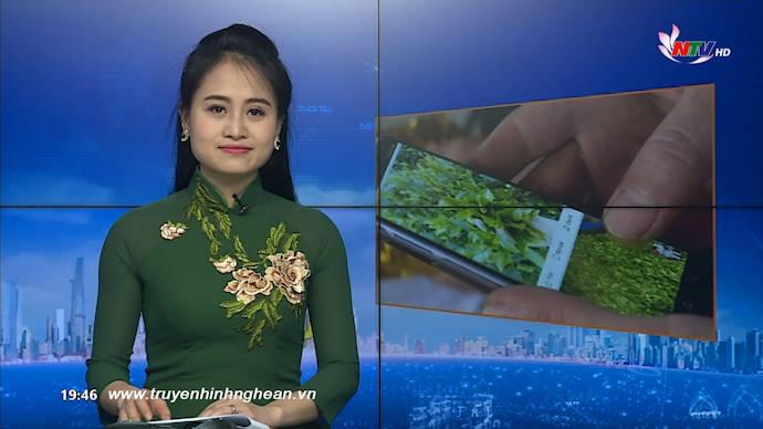 Thời sự Truyền hình - 29/02/2020