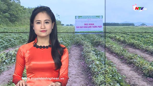 Thời sự Truyền hình - 04/02/2021