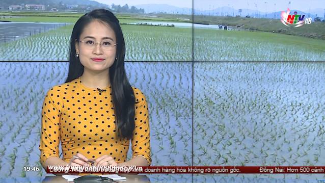 Thời sự Truyền hình - 09/02/2021