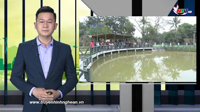 Nghệ An ngày mới - 10/02/2021