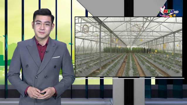 Nghệ An ngày mới - 13/02/2021