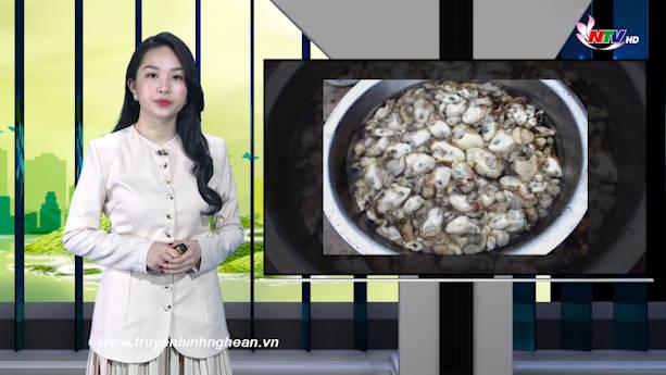 Nghệ An ngày mới - 27/02/2021