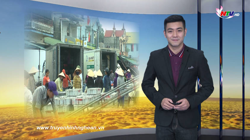 Nghệ An ngày mới - 08/3/2019