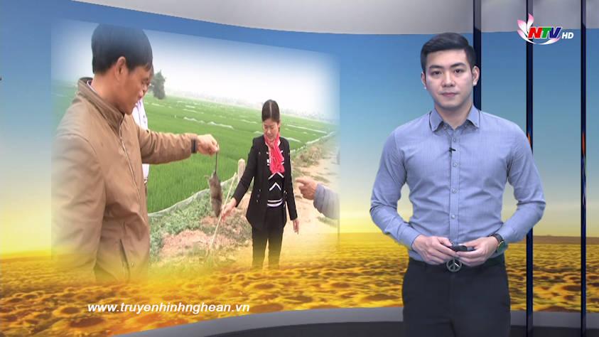 Nghệ An ngày mới - 17/3/2019