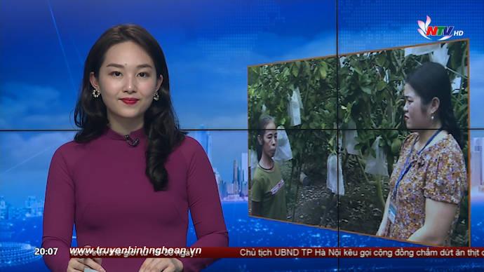 Thời sự Truyền hình - 17/3/2020