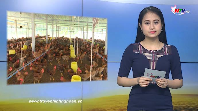 Nghệ An ngày mới - 29/3/2020