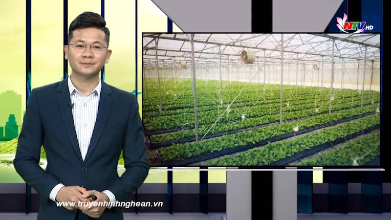 Nghệ An ngày mới - 21/03/2021