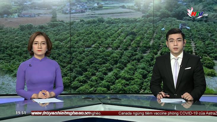 Thời sự Truyền hình - 30/03/2021