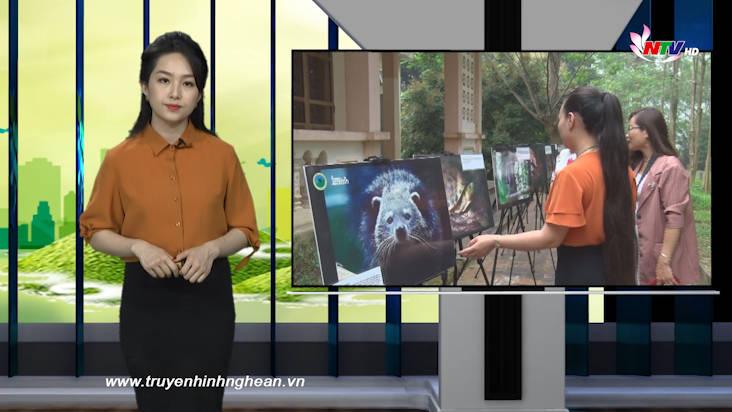 Nghệ An ngày mới - 03/04/2021