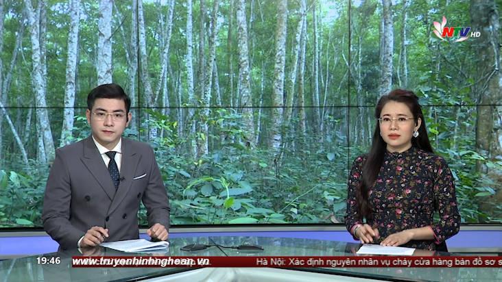 Thời sự Truyền hình - 04/04/2021