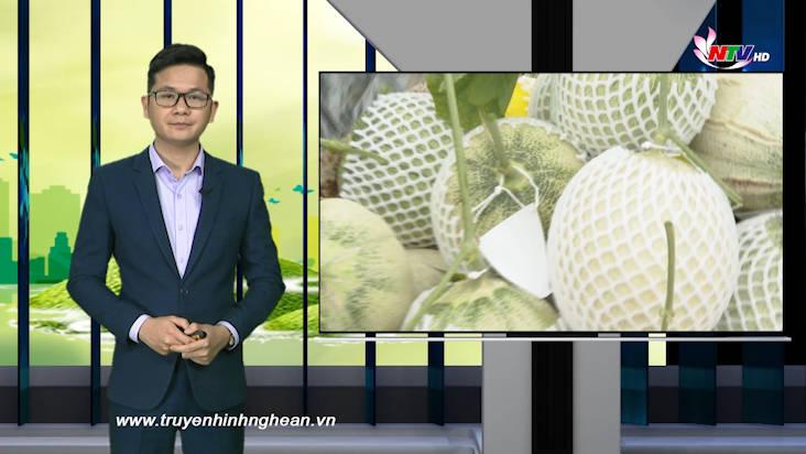 Nghệ An ngày mới - 05/04/2021