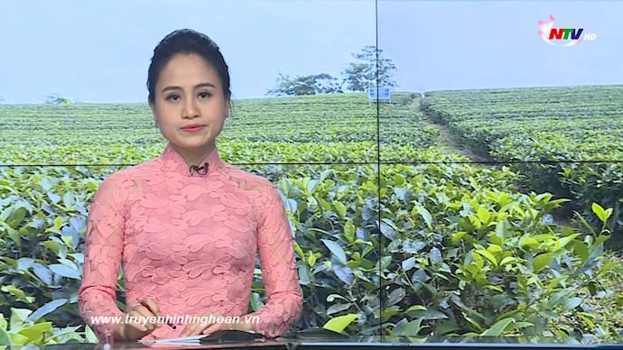 Thời sự Truyền hình - 05/05/2020