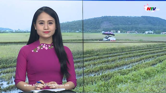 Thời sự Truyền hình - 11/05/2020