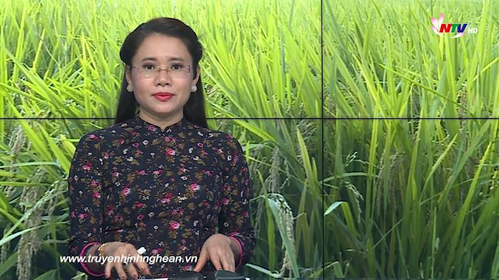 Thời sự Truyền hình - 13/05/2020