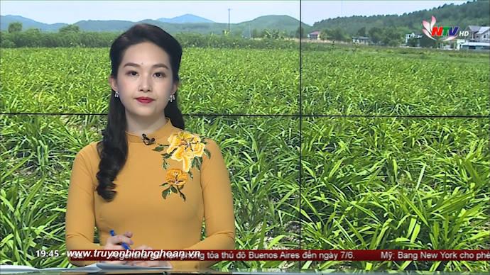 Thời sự Truyền hình - 24/05/2020