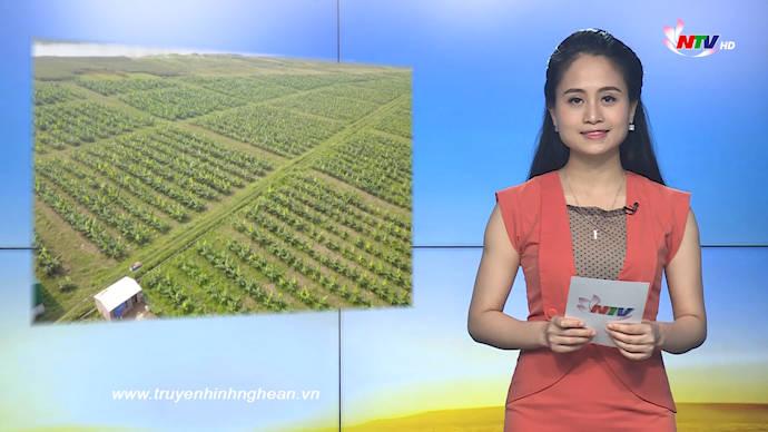 Nghệ An ngày mới - 27/5/2020