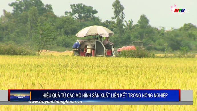 Hiệu quả từ các mô hình sản xuất liên kết trong nông nghiệp