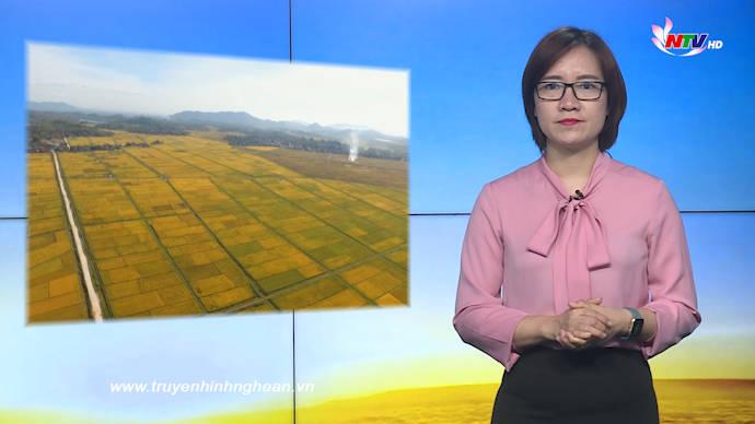 Nghệ An ngày mới - 01/6/2020