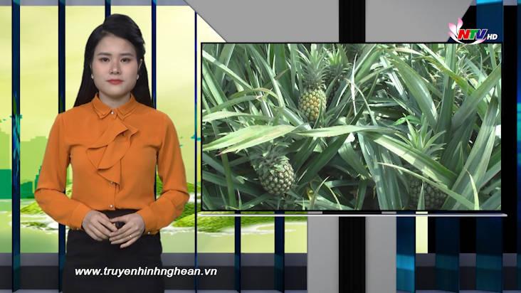 Nghệ An ngày mới - 05/05/2021