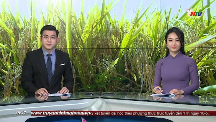 Thời sự Truyền hình - 15/05/2021