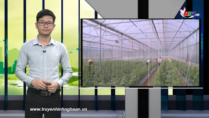 Nghệ An ngày mới - 28/05/2021