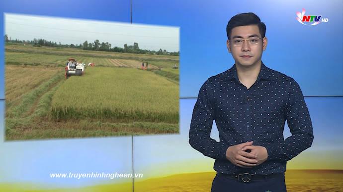 Nghệ An ngày mới - 05/6/2020