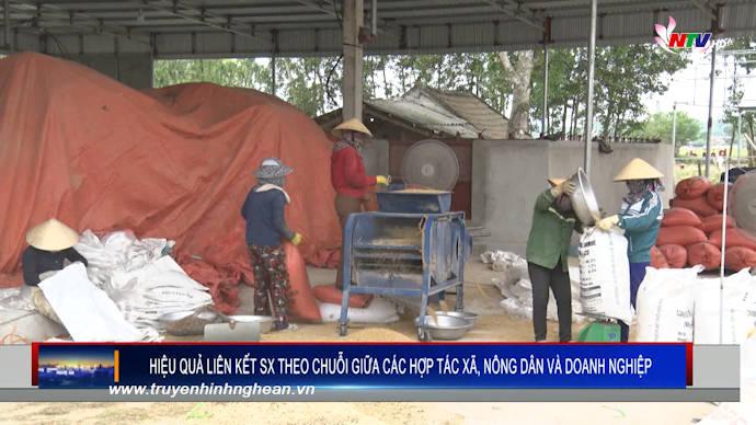Hiệu quả liên kết SX theo chuỗi giữa các hợp tác xã, nông dân và doanh nghiệp