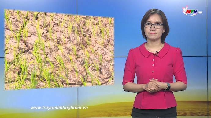 Nghệ An ngày mới - 12/6/2020