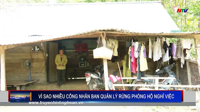Vì sao nhiều công nhân Ban quản lý rừng phòng hộ nghỉ việc?