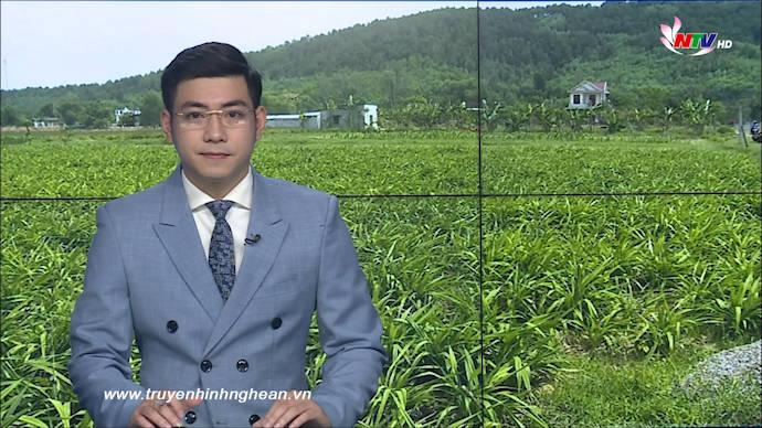 Thời sự Truyền hình - 20/06/2020